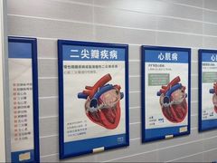 -芭比堂动物医院·心脏科·老年急重症·夜诊·吉雅分院