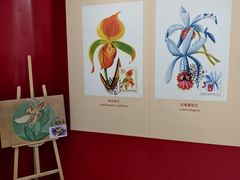 -国家植物园南园