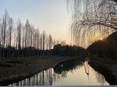 -贡湖湾湿地公园