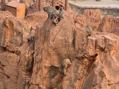 -昆明动物园