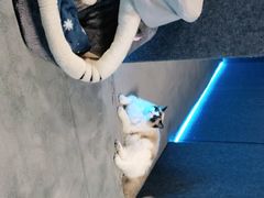 -零纪元VR体验馆·桌游(黄浦店)