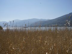 -西昌邛海湿地
