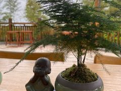 -天目湖御水温泉·度假酒店