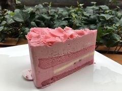 -星巴克(成都太古里二店)
