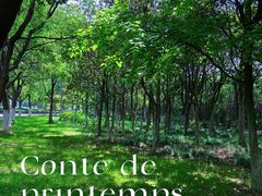 -山明水秀大饭店