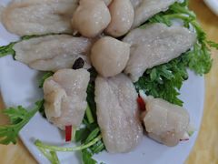 -金砂阿洲鱼册店
