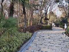 -天目湖涵田半山温泉