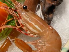 -古京·臻致料理(月湖店)