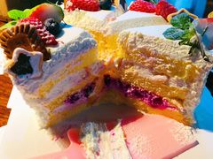 -今日·TODAY手作低脂动物奶油蛋糕定制(高新万达店)