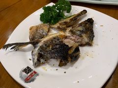 烤三文鱼头-青瓦餐厅·生鱼片·韩园烤肉(西塔店)