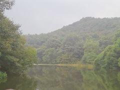 -白马涧龙池景区