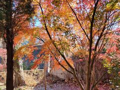 -青岛崂山太清宫