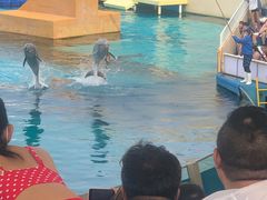 -秦皇岛乐岛海洋王国