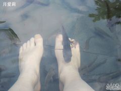 -三亚珠江南田温泉度假区