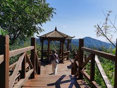 -大岭沟猕猴桃谷风景区