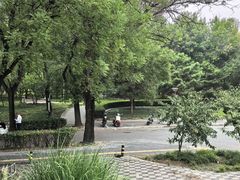 -南长河公园