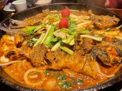 -老板恋上鱼(高新万达店)