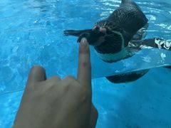 -广东省拱北口岸中国旅行社(华宾营业部)