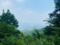 -莫干山风景区
