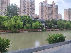 -三林塘老街