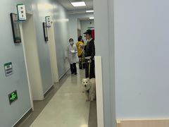 -中国农业大学动物医院