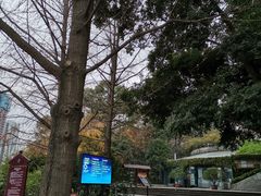 -成都市活水公园