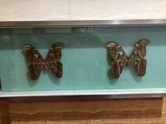 -青藏高原自然博物馆