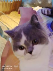 -酷嗒动物文化乐园(cutezoo西溪乐天城店)