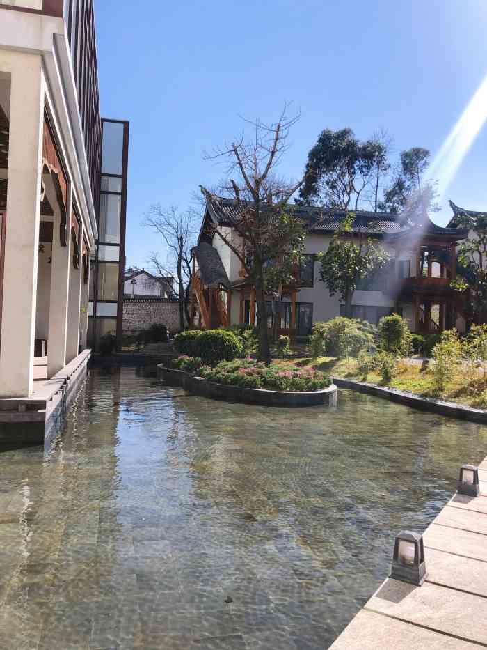 美丽相约61大理梦蝶庄酒店