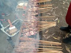 -南宁良凤江国家森林公园