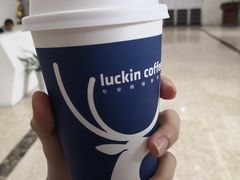 -瑞幸咖啡(大鼎世纪广场店)