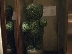 -蝴蝶汇音乐酒馆(罗湖店)
