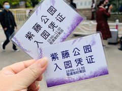 -嘉定紫藤园