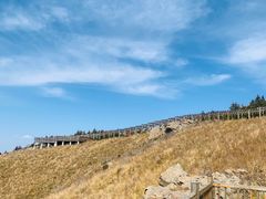 -白草畔自然风景区