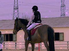 -北京群众马术培训基地