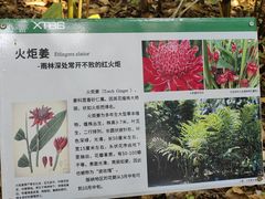 -中国科学院西双版纳热带植物园