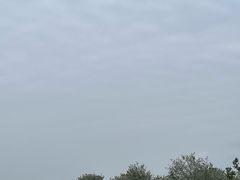 -空港花田景区