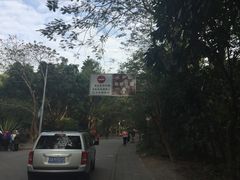 -火炉山森林公园
