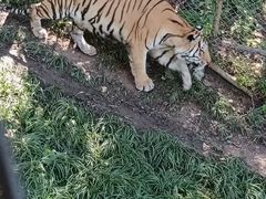 -哈尔滨北方森林动物园