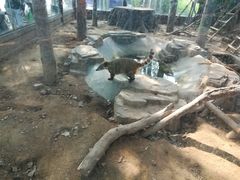 -石家庄市动物园