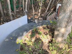 -厦门园林博览苑