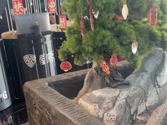 -屋有岛沉浸游戏旗舰店(中山公园店)