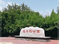 -莲花池公园