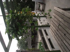 -花筑·扬州个园客栈(瘦西湖东关街店)