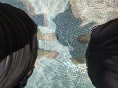 -水晶之星洗浴温泉汗蒸