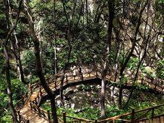 -大岭沟猕猴桃谷风景区