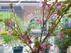 -花十悦·鲜花咖啡餐厅(振业城一期店)