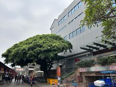 -佛山市图书馆(祖庙路分馆)