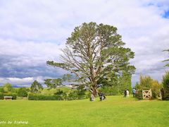 -霍比特人村