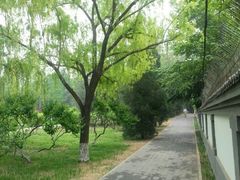 -玲珑塔公园